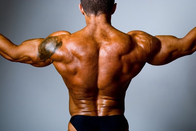 栽种你的香瓜肩　中三角飞鸟