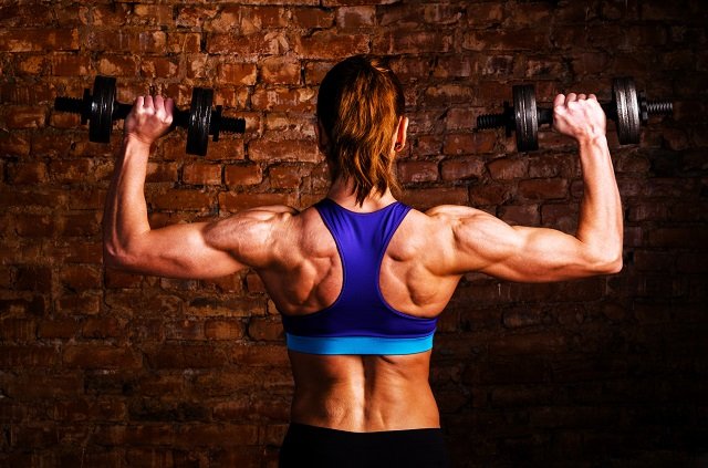 4组动作　强化你的背部肌群