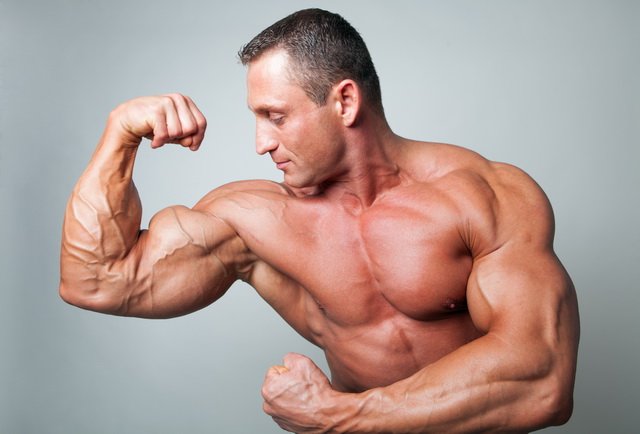 4个与肌肉生长相关的荷尔蒙