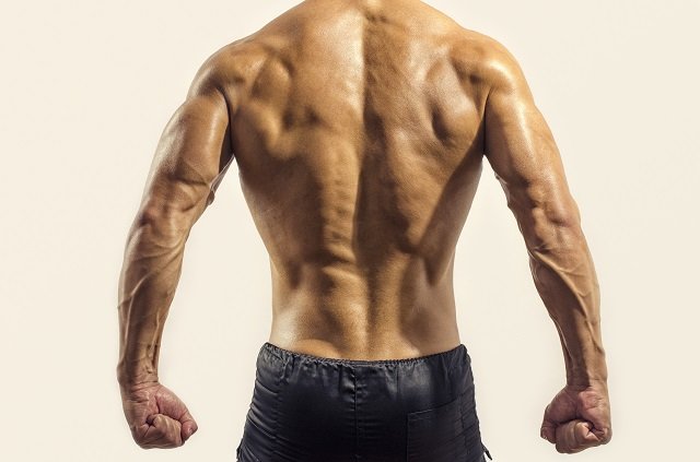 几个你从未尝试的三头肌训练动作