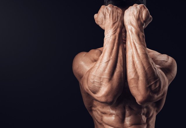 肌肉大等于肌力大？