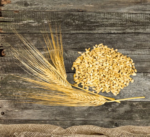 认识白吐司与全麦吐司