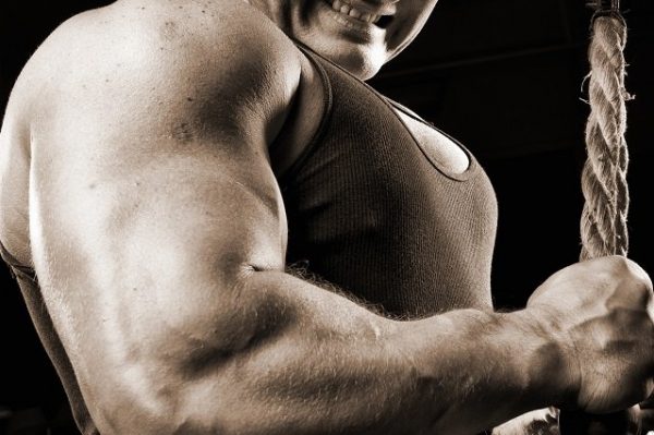 卡关了吗？来试试离心训练！（三头肌）